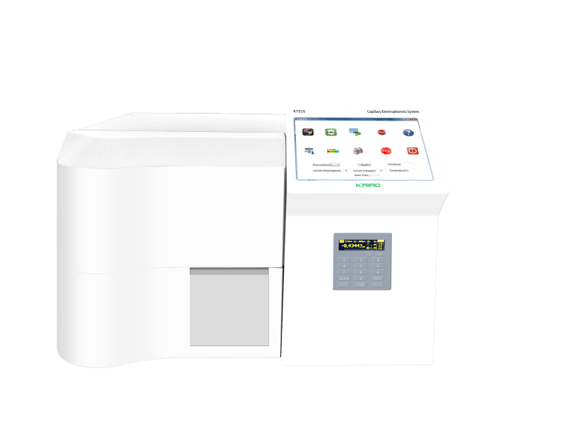 毛细管电泳K7010(1)
